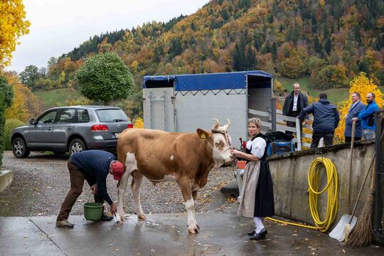 ERS_5678 Kopie